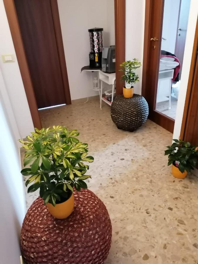 Giuseppe House Lägenhet Pisa Exteriör bild